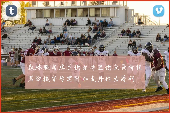 森林狼考虑兰德尔与里德交易价值若欲换字母需附加麦丹作为筹码