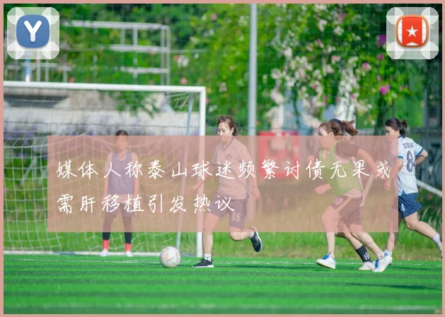 媒体人称泰山球迷频繁讨债无果或需肝移植引发热议
