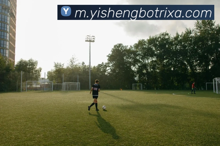 易胜博体育平台生态图